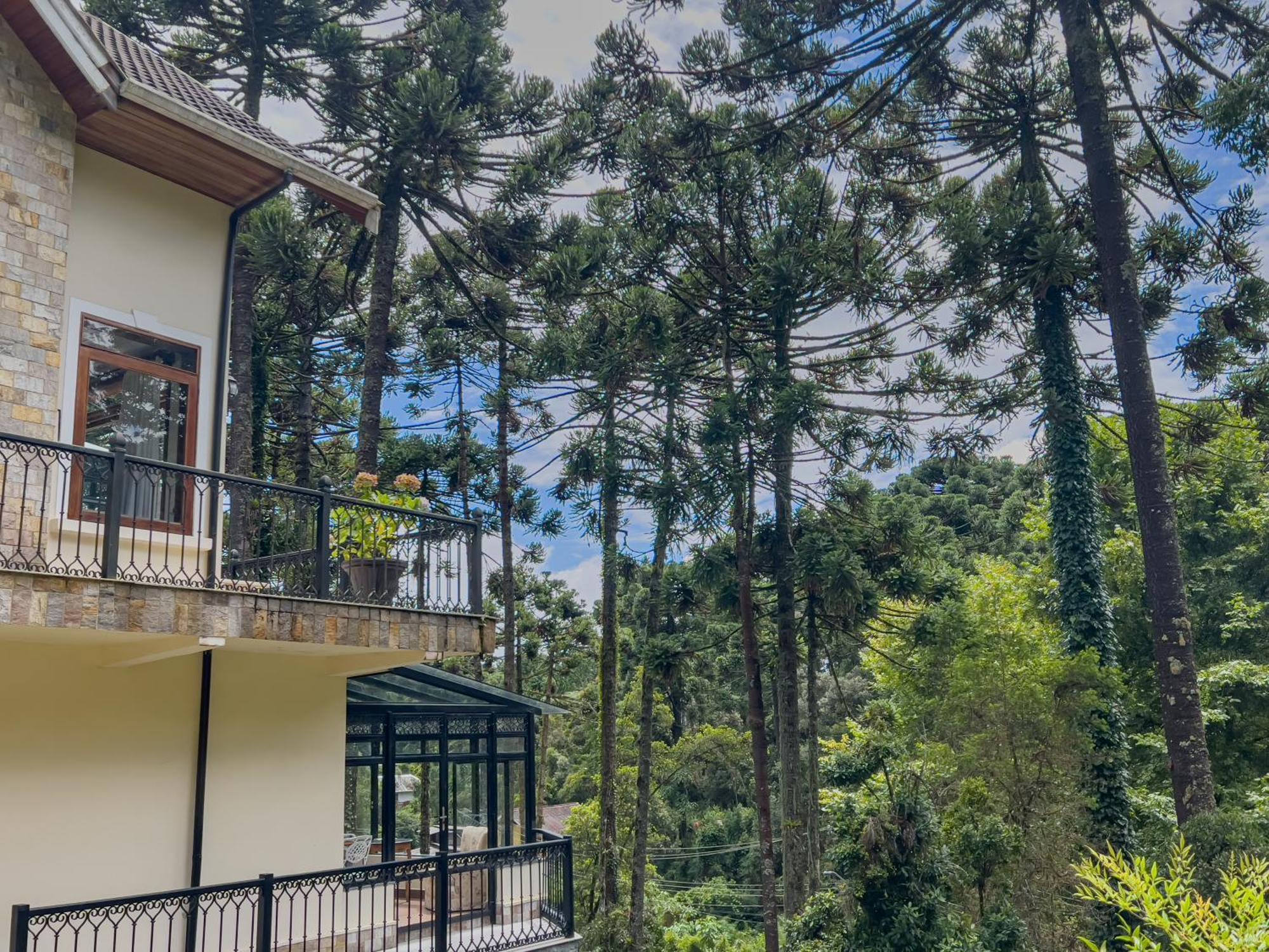 Araucaria Lodge Campos do Jordão Eksteriør billede