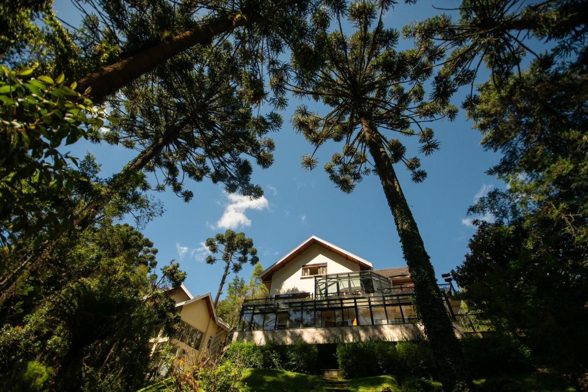 Araucaria Lodge Campos do Jordão Eksteriør billede
